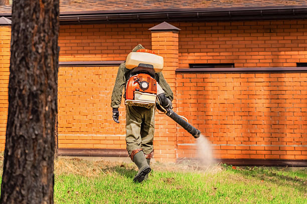 Bed Bug Clearance Verification and Documentation in Little Canada